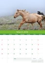 Calendar 2014. Horse. March Royalty Free Stock Photo