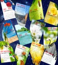 Calendar 2015