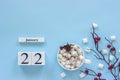 Calendar January 22 Cup of cocoa, marshmallows and branch berries