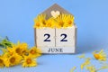 Calendar for June 22: cubes with the number 22 , the name of the month of June in English, a bouquet of yellow daisies, blue