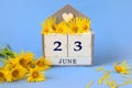 Calendar for June 23: cubes with the number 23 , the name of the month of June in English, a bouquet of yellow daisies, blue