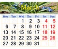 Calendar for March of 2017 year with snowdrops