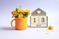 Calendar for May 13: cubes with the number 13, the name of the month of May in English, a bouquet of dandelions in a yellow cup on