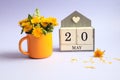 Calendar for May 20: cubes with the number 20, the name of the month of May in English, a bouquet of dandelions in a yellow cup on