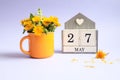 Calendar for May 27: cubes with the number 27, the name of the month of May in English, a bouquet of dandelions in a yellow cup