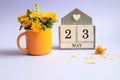 Calendar for May 23: cubes with the number 23, the name of the month of May in English, a bouquet of dandelions in a yellow cup on