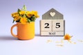 Calendar for May 25: cubes with the number 25, the name of the month of May in English, a bouquet of dandelions in a yellow cup on