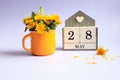 Calendar for May 28: cubes with the number 28, the name of the month of May in English, a bouquet of dandelions in a yellow cup on