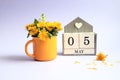 Calendar for May 5: cubes with the numbers 0 and 5, the name of the month of May in English, a bouquet of dandelions in a yellow