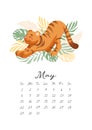 Calendar 2022. Month May. Cute stretching tiger childrens vector illustration in cartoon style. Symbol Chinese New Year
