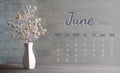 Calendar-page for the full month: JUNE 2021. A composition of dried flowers in a white porcelain vase on a wooden table. The Royalty Free Stock Photo
