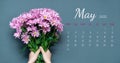 Calendar page for the full month of May 2021. Two hands hold bouquet of flowers, chrysanthemums, on bluish-gray background. The Royalty Free Stock Photo