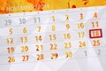 Calendar planner for the month, deadline day of the week 2018 november, 18, Sunday Royalty Free Stock Photo