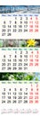 Calendar for three months of 2017 with pictures of nature