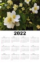Calendar 2022 year in English with jasmine flowers on the bush. Week starts on Sunday. Vertical Wall monthly calendar