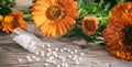 Natural medicine. Fresh blooming calendula, pot marigold and white pills on a wooden table Royalty Free Stock Photo