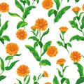 Calendula bunches pattern