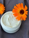 Calendula cosmetic cream and flowers Royalty Free Stock Photo