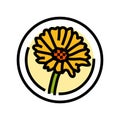 calendula cosmetic plant color icon vector illustration