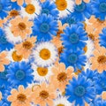 Calendula, cosmos, daisy. Illustration, texture of flowers. Seamless pattern for continuous replicate. Floral background, photo