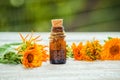 The calendula extract. Medicinal plants. Royalty Free Stock Photo