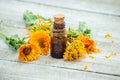 The calendula extract. Medicinal plants. Royalty Free Stock Photo