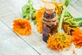 The calendula extract. Medicinal plants. Royalty Free Stock Photo