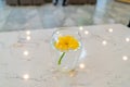 Calendula flower in a glass vase. Yellow daisy