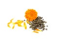 Calendula flower, marigold, seeds