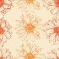 Calendula flower seamless pattern