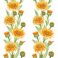 Calendula flower seamless pattern. Watercolor illustration. Yellow medical natural herb pattern. Calendula officinalis