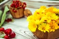 Calendula flowers in a bowl, red currants and cherries on a white wooden background 1 Royalty Free Stock Photo