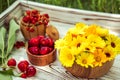 Calendula flowers in a bowl, red currants and cherries on a white wooden background 2 Royalty Free Stock Photo