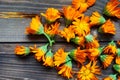 Calendula flowers laid out on a wooden background. Calendula officinalis medicinal plant petals - healthy concept Royalty Free Stock Photo