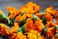 Calendula flowers laid out on a wooden background. Calendula officinalis medicinal plant petals - healthy concept Royalty Free Stock Photo