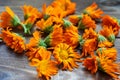 Calendula flowers laid out on a wooden background. Calendula officinalis medicinal plant petals - healthy concept Royalty Free Stock Photo