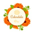 Calendula. Flowers with leaves. round badge with text
