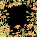 Calendula frame pattern, marigold card isolate watercolor black background Royalty Free Stock Photo