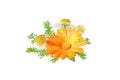 Calendula officinalis and chamaemelum nobile flowers and leaves bunch isolated on white. Transparent png additional format