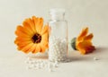 Calendula officinalis, the pot marigold, ruddles, common marigold or Scotch marigold with white round homeopathy pills in medical Royalty Free Stock Photo