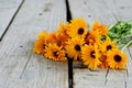 Calendula officinalis on the wooden background Royalty Free Stock Photo