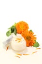 Calendula ointment with flowers and petals Royalty Free Stock Photo