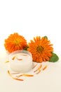 Calendula ointment with petals Royalty Free Stock Photo