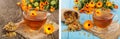 Calendula tea with fresh and dried flowers on old wooden background Royalty Free Stock Photo