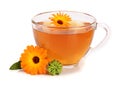 Calendula tea with fresh flowers isolated on white background Royalty Free Stock Photo