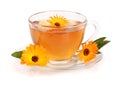 Calendula tea with fresh flowers isolated on white background Royalty Free Stock Photo