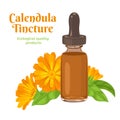 Calendula tincture in glass bottle and orange flowers