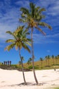 Caleta Anakena, Easter Island, Chile Royalty Free Stock Photo