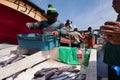 Artisanal fishermen in Caleta Portales, Valparaiso, Chile