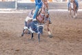 Calf Roping At An Outback Rodeo Royalty Free Stock Photo